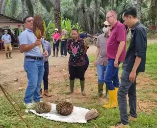 WNA Asal Jerman Amati Proses Pembuatan Benih Sawit Unggul di Sanggau