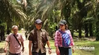 Cerita Pekerja Perempuan Perkebunan Sawit Bernama Griselda