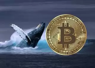 Jumlah Bitcoin Whale Pecahkan Rekor Tertinggi dari 2021, Akumulasi Makin Menggila!