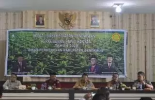 Penting Pendataan Sebagai Gambaran Kondisi Perkebunan Sawit Rakyat di 'Negeri Junjungan'