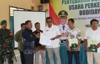 Total 1.500 STDB Diserahkan, Petani Sawit Swadaya Siap Ikut Sertifikasi ISPO-RSPO di Kampar