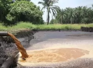 RI Butuh Regulasi Pemanfaatan Limbah Cair Pabrik Sawit