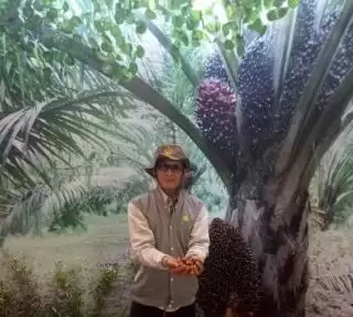 Presiden RI Buka Wacana Perluasan Lahan Sawit, Petani: Rakyat Apa Perusahaan yang Kelola!