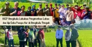 Sawah Beralih Jadi Sawit di Bengkulu, Ini Penyebabnya