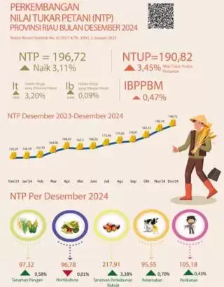 NTP Riau Melambung Desember 2024 Didongkrak Komoditas Perkebunan Rakyat