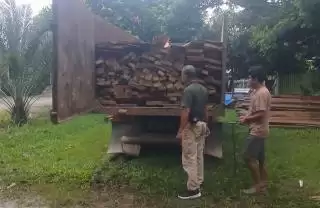 Polhut Ringkus Dua Pelaku Terduga Illegal Logging