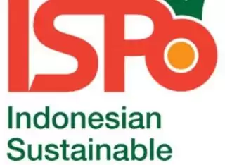 Deadline November 2025, Perusahaan Sawit di Riau Masih Banyak Belum Kantongi ISPO