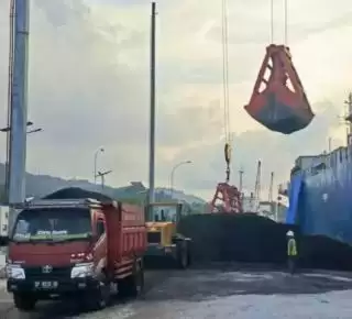 Mantap! Bea Cukai Parepare Layani Ekspor Cangkang Sawit ke Korsel