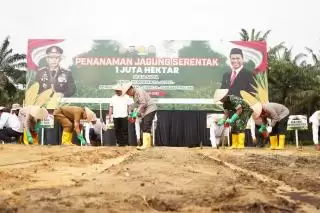 Di Areal PT Tasmapuja Desa Kampar Penanaman Jagung Sejuta Hektar Serentak se Indonesia