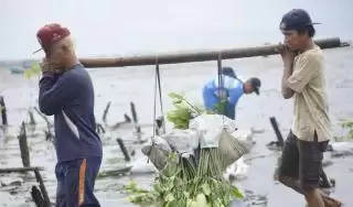 Kini, LindungiHutan Punya Layanan Impact Report Ukur Dampak Hijau