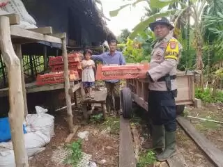 Dukung Program Ketahanan Pangan, Polsek Rangsang Tebar Bibit Ayam