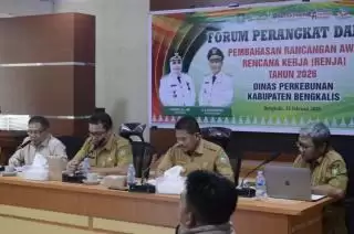 Kadisbun Bengkalis Jabarkan Target Pemkab dan Beasiswa Perkebunan sawit Didanai BPDP