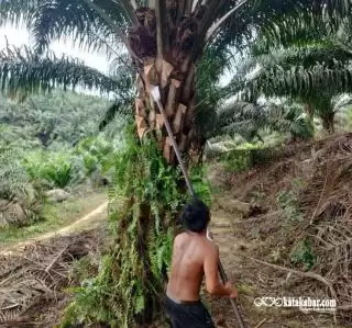 Reforma Agraria Harus Jamin Kepastian Hukum Tanah Masyarakat