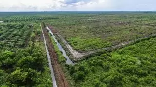 Cabup Siak Diduga Janjikan Lahan ke Warga, Politisi PAN hingga Tokoh Masyarakat: Lahan yang Mana? PT TKWL?