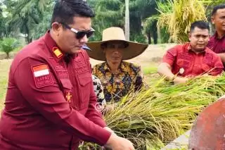 Panen Raya Padi untuk Mendukung Program Ketahanan Pangan Nasional di Lapas Narkotika Langkat