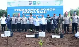 Tanam Pohon Geronggang di Pulau Seberang, Kapolda Riau dan Bupati Bengkalis Antisipasi Karhutla