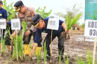 Tanam Padi Serentak Bersama Presiden RI, H Asmar: Kita Dukung Penuh Program Swasembada Pangan