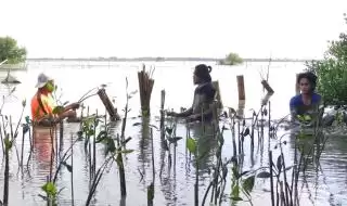 Momen May Day 2025, LindungiHutan Soroti Peran Komunitas untuk Konservasi Lingkungan