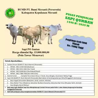 PT Bumi Meranti Tawarkan Sapi Qurban Idul Adha 2025 Harga Terjangkau