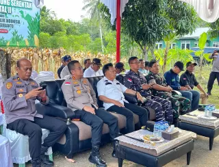 Panen Raya Jagung Serentak Kuartal II 2025, H Asmar Dukung Program KPN