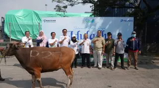 Pelindo Solusi Logistik Serahkan Hewan Kurban ke Berbagai Wilayah Indonesia