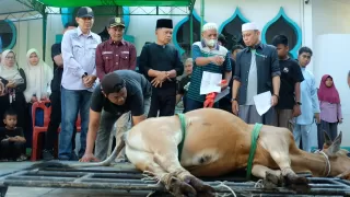 Bupati Kepulauan Meranti Serahkan Hewan Kurban dari Presiden RI