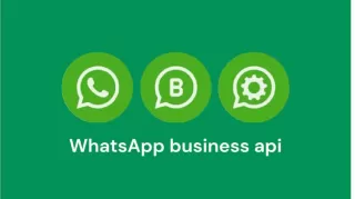 WhatsApp Business API dan Cara Menonaktifkan WA Sementara