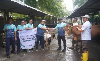 KAI Daop 8 Surabaya Tebar Ratusan Hewan Qurban di Wilayah Operasional Perusahaan