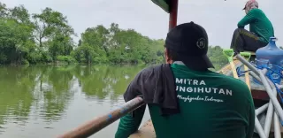Surabaya hingga Semarang: Kota Pesisir Bangkit Lewat Hutan Mangrove