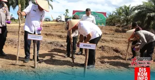 Ada Bupati Rohul Digiat Tanam Jagung Serentak Nasional di Lahan Pertanian UR