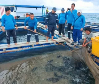 MIND ID Komitmen Perkuat Pendampingan Budidaya Ikan Laut