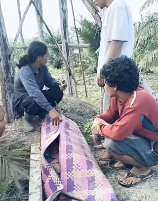 Si Bongsor Mengamuk Hajar Gubuk, dan Warga Tasik Serai Ditemukan Tak Bernyawa