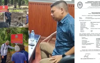 Sawit di Hutan Sitaan Langkat Tetap Dipanen, Bos Koperasi Diduga Masih Kendalikan