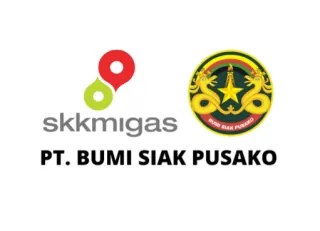 Direktur PT BSP Iskandar Dikabarkan Mundur, Anak Eks Bupati Siak Penggantinya?