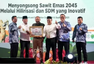 Keren! Gubernur Sawit Gelar Baru Rudy Mas'ud Cetak 4,3 Juta Ton CPO di Kaltim