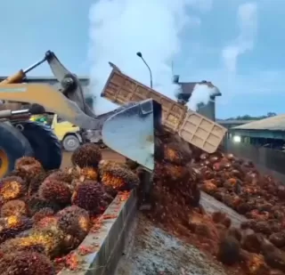 Bioavtur: Untuk Sektor Penerbangan dan Ekspansi Industri Nasional
