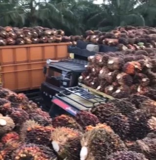 Legislator Kotim Minta Agrinas Tinjau Ulang KSO Pengelolaan Kebun Sawit Sitaan Negara