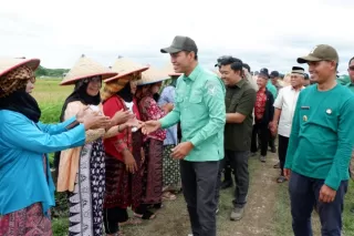 Dayat Bikin Bangga Kepala Daerah, Panen Raya Padi di Usia Jabatan 47 Hari