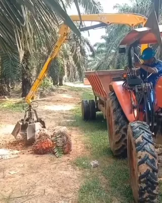 Antara Kelapa Sawit, Perjanjian IEU-CEPA dan Babak Baru Hubungan Dagang
