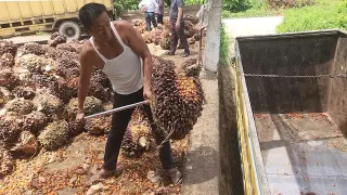 Kisah Joni di Rantau Panjang