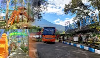 Diversifikasi Usaha, Holding PTPN Optimalkan Kebun Karet Tak Produktif Jadi Agrowisata Edukatif