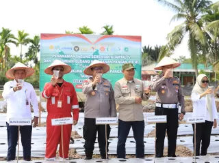 Benih Harapan Tumbuh di Kepulauan Meranti: Penanaman Jagung Serentak Dukung KPN