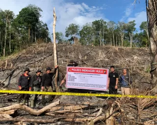 Satgas Pemburu Pelaku Karhutla Polres Inhu Ringkus Lima Penjahat Lingkungan