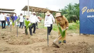 Pemkab Langkat Dukung Program Asta Cita Presiden Lewat Penanaman 360 ribu Pohon Kelapa