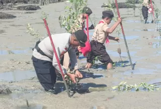 GP di Rangsang Pesisir, Polres Kepulauan Meranti dan Pramuka Tanam Mangrove Cegah Abrasi