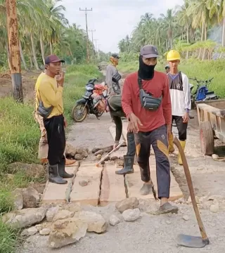 Kreativitas Warga Tanjung Medang di Tengah Keterbatasan Perbaiki Jalan Rusak dari Batang Kelapa