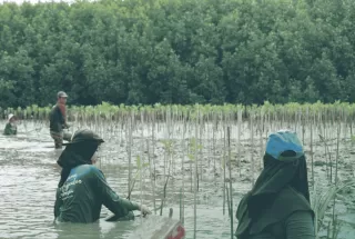 LindungiHutan Dorong Aksi Komunitas di Pantai Bahagia Bekasi