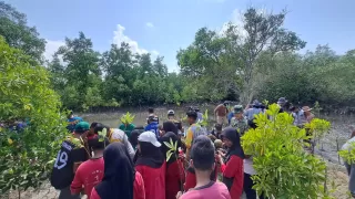 Hutan Dunia di Titik Kritis Selepas COP30, LindungiHutan Seru Publik Bergerak di Hari Pohon Internasional