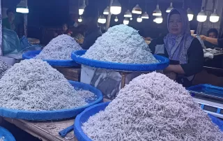 Dari Lorong Ikan Teri ! Harapan Baru Pedagang Pusat Pasar Medan Untuk Adira Finance