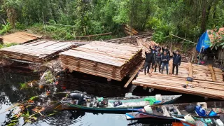 Reskrim Polres Inhu Amankan Ratusan Kubik Kayu Olahan Hutan Kerumutan